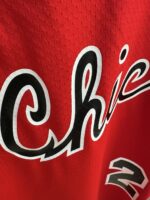 Michael Jordan Bulls 1984–85 rookie red jersey, actual size L sample photo