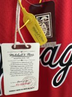 Michael Jordan Bulls 1984–85 rookie red jersey, actual size L sample photo